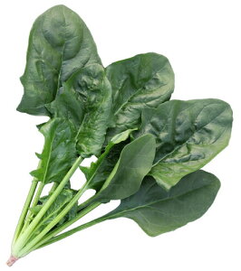 gL^c ق񂻂 @@ zE\E t[CY L 3