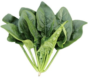 gL^c ق񂻂 @@ zE\E W[J[X M 3