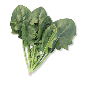 gL^c ق񂻂 @@ zE\E@t[EFCiTSX-728j L 3