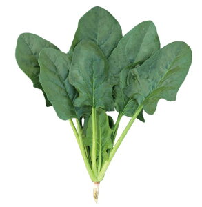 gL^c zE\E ق񂻂 @@@GNXg[@