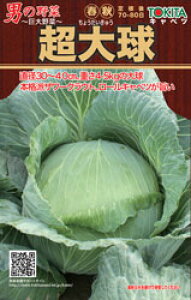 トキタ種苗 キャベツ 超大球 小袋