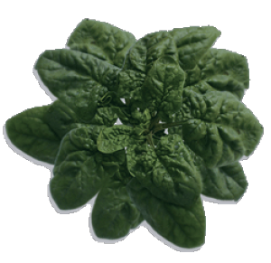 gL^c zE\E ق񂻂 @@@@