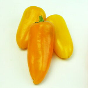 gL^c s[}@Ղs[vECG[@10