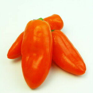 gL^c s[}@Ղs[vEIW@100