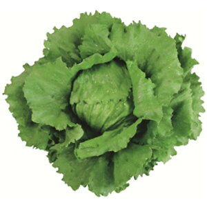 c^@^X@iATMwbhOXjR[g5000