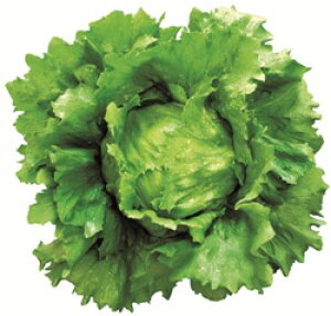 c^@^X@A}hX PVP R[g5000