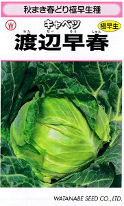  nӍ̎@Lxc ׂ ×@nӑt@