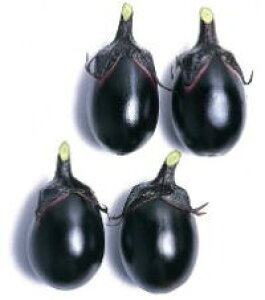 たね 渡辺採種場 ナス 秋田系梵天丸 小袋