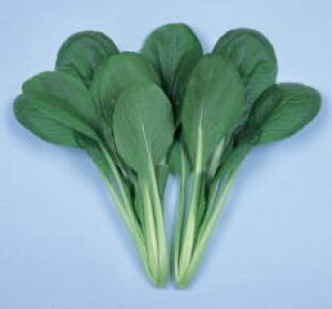  nӍ̎@܂ȁ@͖k@1dl