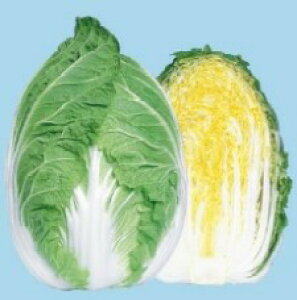  nӍ̎@nNTC@65@R[g L5000