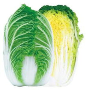  nӍ̎@nNTC@Ă̍ՓT@10ml