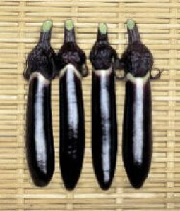  nӍ̎@iX@䒷@