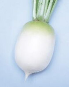  nӍ̎@_CR@@@