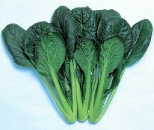  nӍ̎@R}ci@݂܂؁@2dl