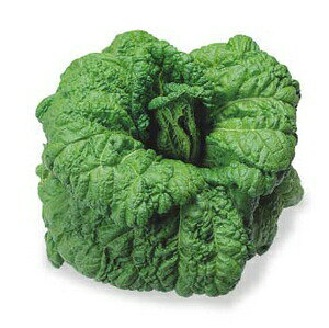 ]_|@nNTC@͂@؁@Ӑ蔒؁@1dl