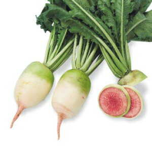 ]_|@_CR  卪@gc@20ml