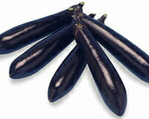 八江農芸 ナス なす 茄子 黒船 小袋