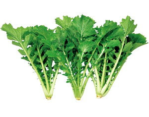  a_ cPi a^(܂Ƃ܂)@10ml