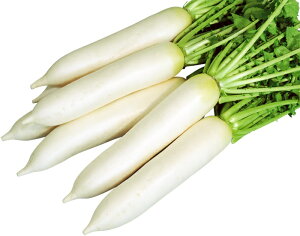  a_ _CR t`(͂ł񂹂)@