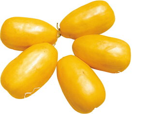  a_ }N (񂶂傤)@20ml