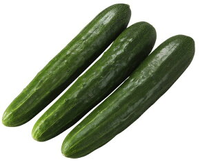  a_ LE 呾(傾ӂƂ܂)@350