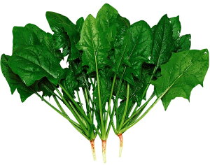  a_ zE\ ĎO\(Ȃ܂񂶂ɂ)@2L