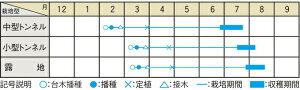  a_ XCJ q @100