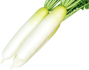  a_ _CR č(Ȃ)@20ml