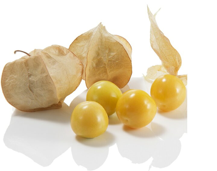 楽天市場 たね 大和農園 食用ほおずき 種子 キャンディーランタン 100粒 Pvp 種苗 園芸ショップ 種もり