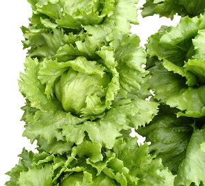  lA ^X@X^[(UC-047)@R[g5000