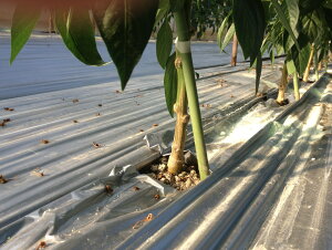  lA s[}p؁@^bO}b`@1000