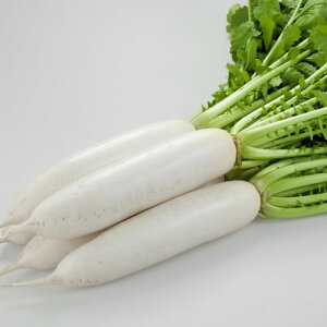  lA _CR 卪 @Ô@܁@PVP