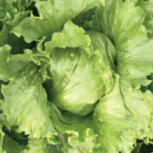  lA ^X@RAg UC-060 R[g5000