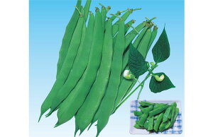  lA CQ 񂰂 Ȃ Ȃ 䰁@XeB@1dl