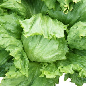  lA ʃ^X@퍁()@R[g5000