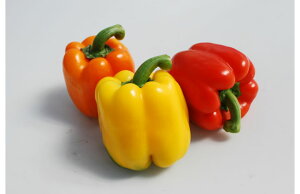  lA s[} pvJ@AWUN-502Y iʐ^j@100