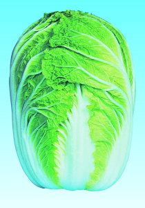  lA nNTC ͂ ؁@~R80@20ml