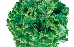  lA [t^X@LAO[1@R[g5000