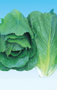  lA CiRXj^X @XvbV1@LR[g 5000