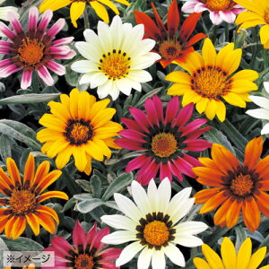  KUjA ^g~bNX 1܁y^LCczt܂ H܂