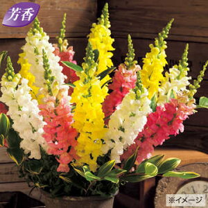  iLM\EjF1WF ~bNX 1܁y^LCczH܂