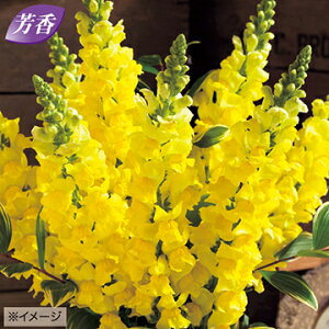  iLM\EjF1WF CG[ 1܁y^LCczH܂