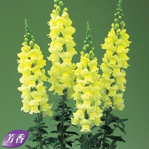  iLM\EjF1WF l[h 1܁y^LCczH܂