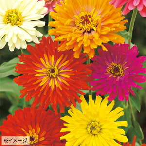  WjAiSjJN^X獬 1܁y^LCczt܂