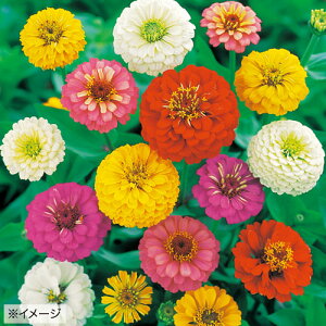  WjAiSj֍獬 1܁y^LCczt܂