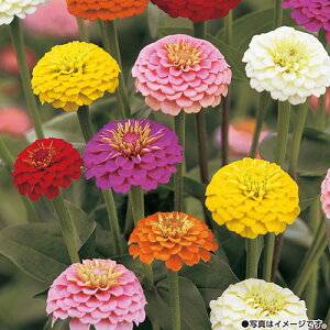  WjAiSj||獬 1܁y^LCczt܂