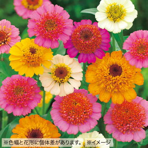  WjAiSjLfB[~bNX 1܁y^LCczt܂