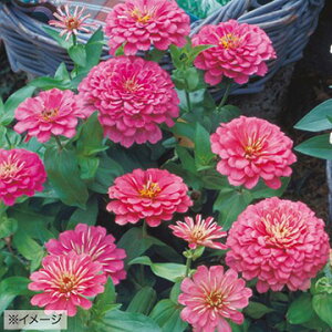  WjAiSjF1h[hsN 1܁y^LCczt܂