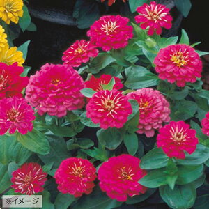  WjAiSjF1h[h[Y 1܁y^LCczt܂