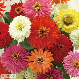  WjAiSjF1T}[hX 1܁y^LCczt܂